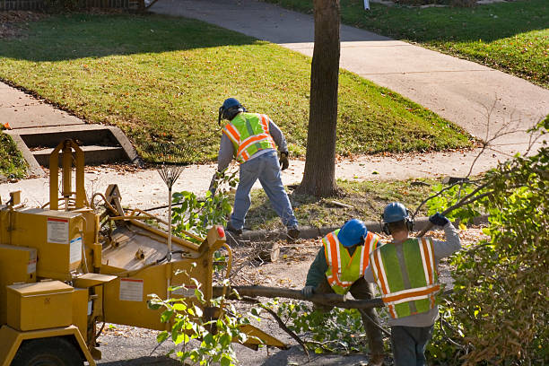 Best Utility Line Clearance  in Granby, CO